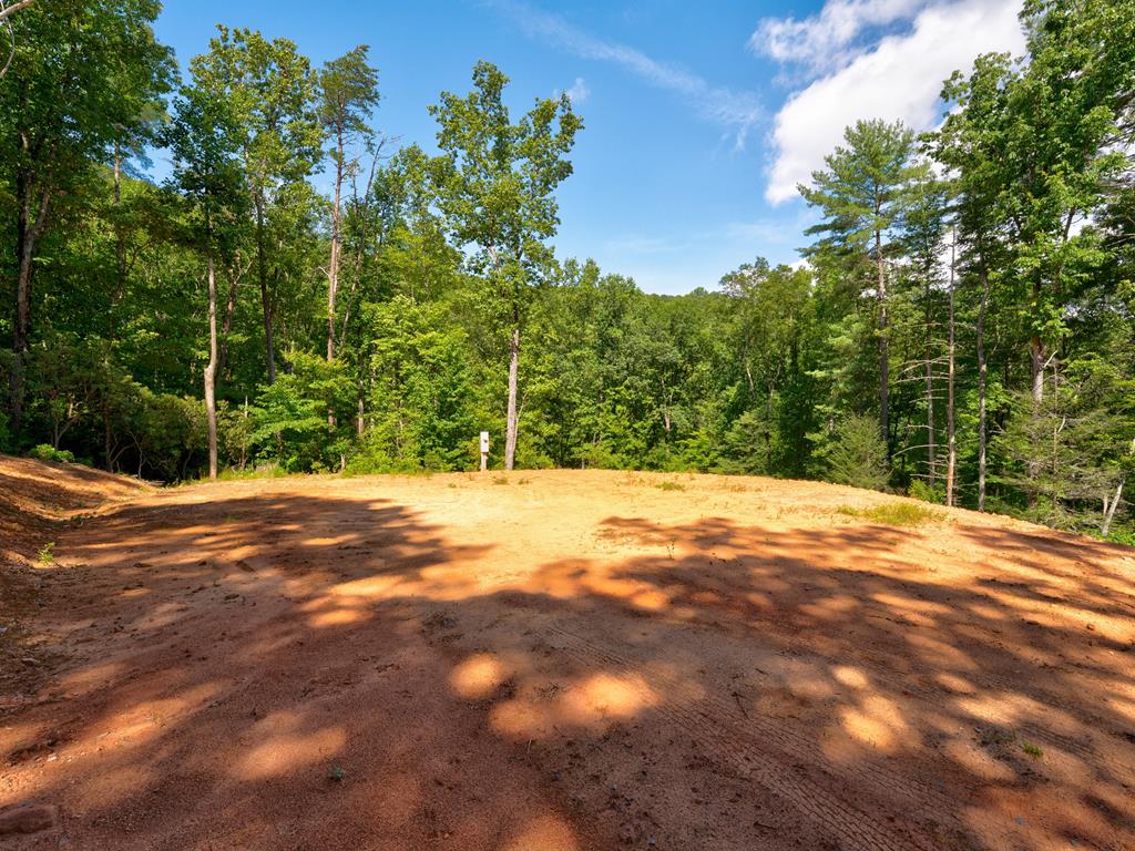 2039 Crowe Road Murphy, NC 28906 - Photo 10 of 36 a view of a yard