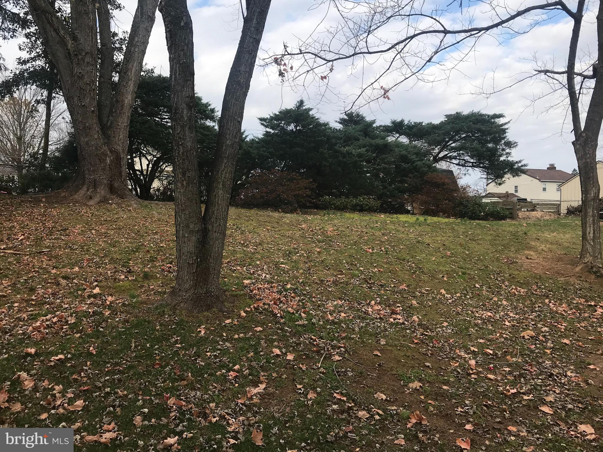 2540 Larkin Road Upper Chichester, PA 19061 - Photo 27 of 31 Back Yard View