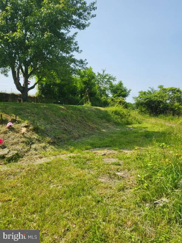 413 Delaware Street Monessen, PA 15062 - Photo 15 of 19 Lush green landscape under a clear blue sky.