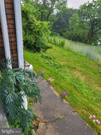 413 Delaware Street Monessen, PA 15062 - Photo 16 of 19 Lush greenery and vibrant blooms await.