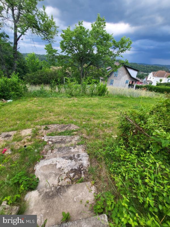 413 Delaware Street Monessen, PA 15062 - Photo 17 of 19 Lush greenery under a moody sky.