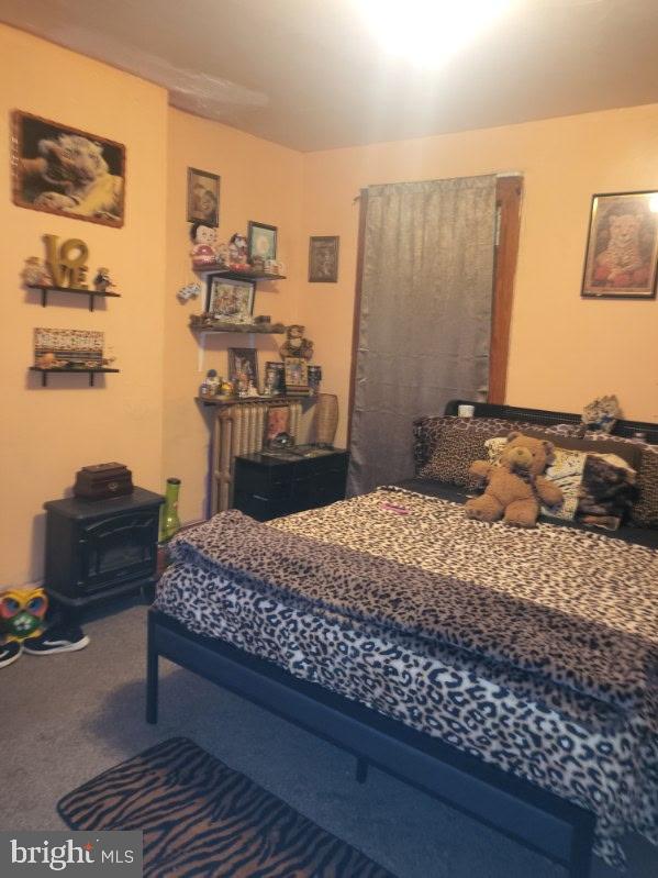 413 Delaware Street Monessen, PA 15062 - Photo 5 of 19 Cozy retreat with playful animal prints.