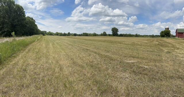 9028 Easton Road Rives Junction, MI 49277 - Photo 2 of 6 IMG_0970