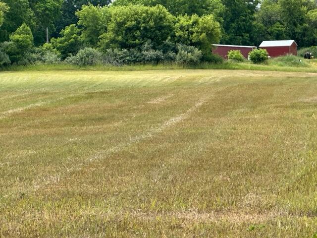 9028 Easton Road Rives Junction, MI 49277 - Photo 3 of 6 IMG_0973