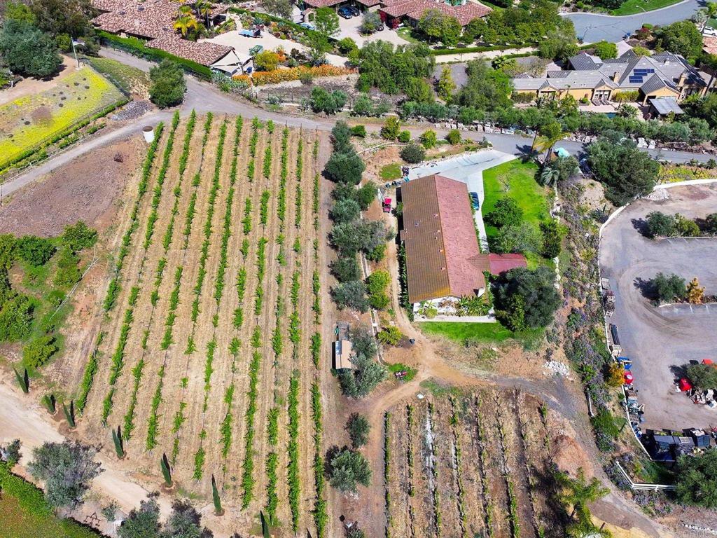 13348 Old Winery Road Poway, CA 92064 - Photo 65 of 68