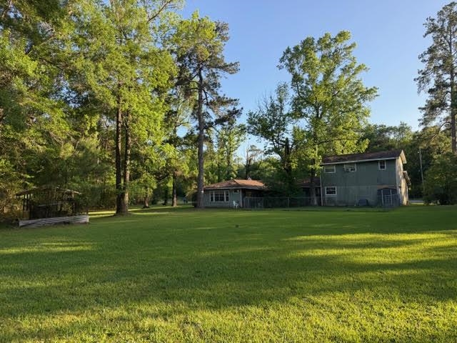 235 Connell Road Vidor, TX 77662 - Photo 10 of 35 a tall tree in middle of green field