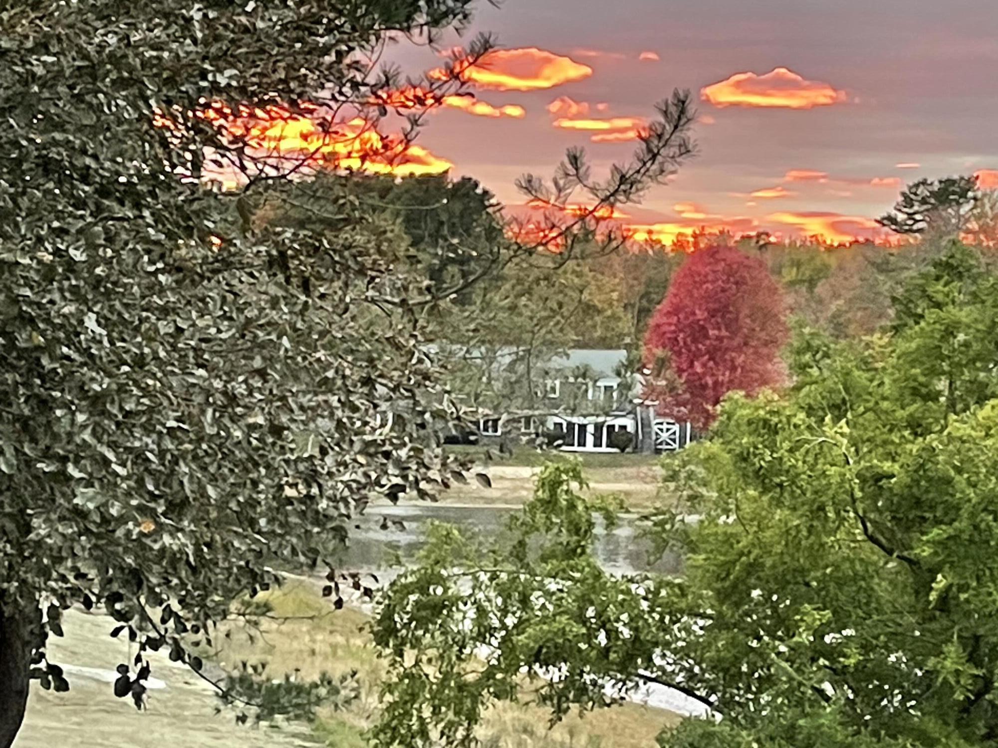 162 Fogg Road Scarborough, ME 04074 - Photo 55 of 55 IMG_1381