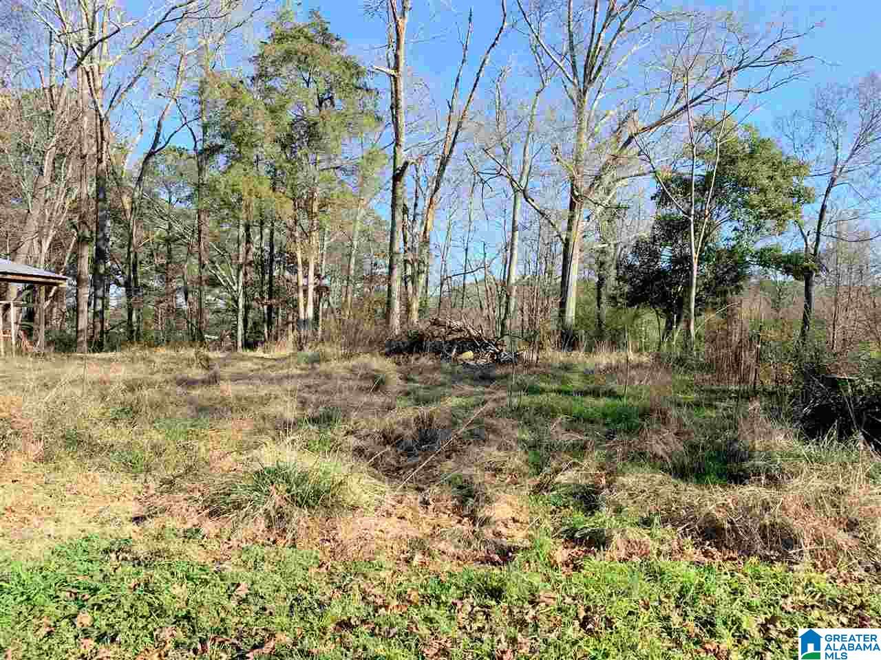 119 Mcelrath Street Centre, AL 35960 - Photo 22 of 26