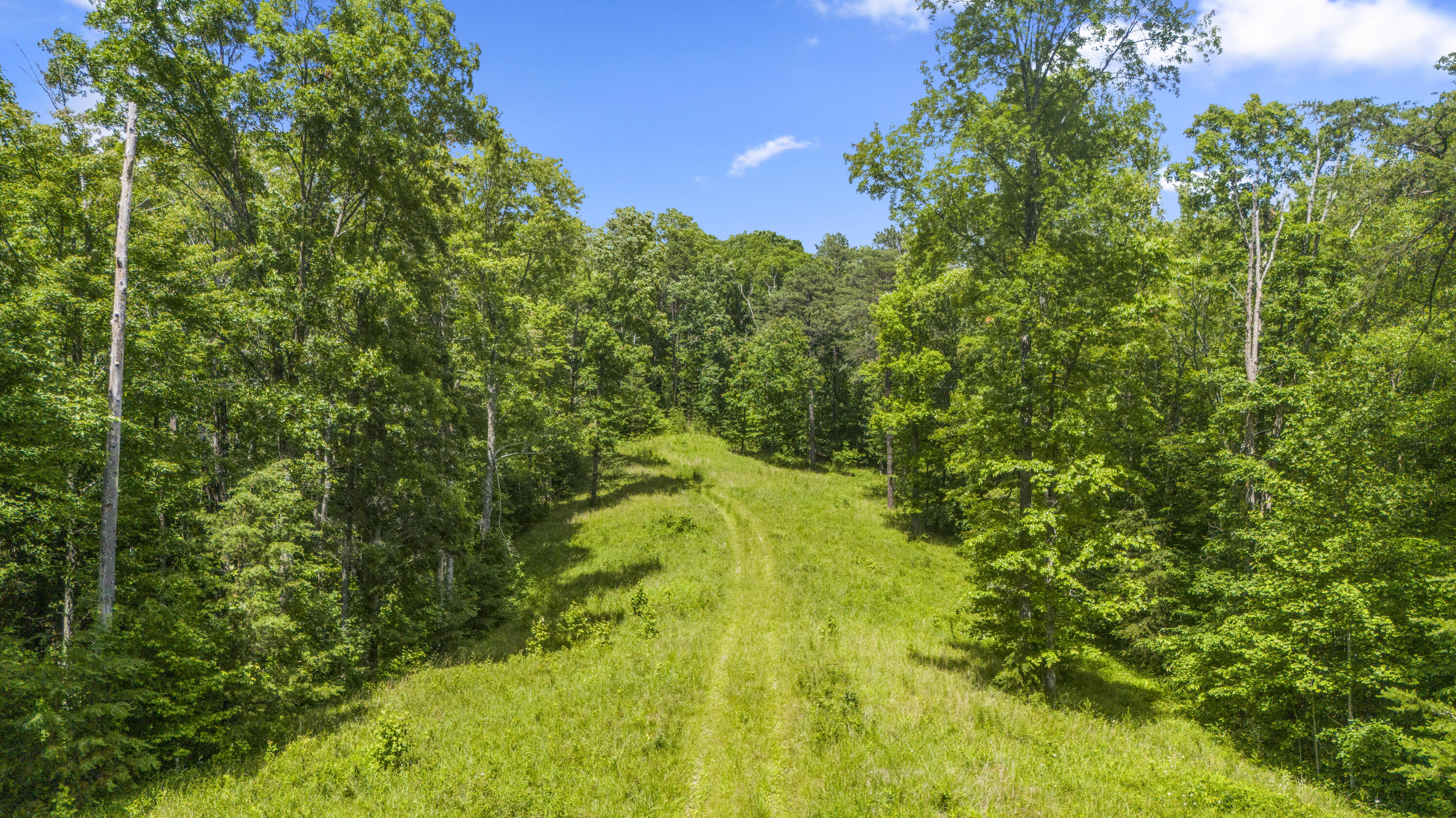 0 Shoemaker Ridge Zoe, KY 41397 - Photo 5 of 33 DJI_20250608152847_0046_D