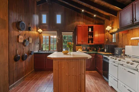 a view of a yard with plants and tree