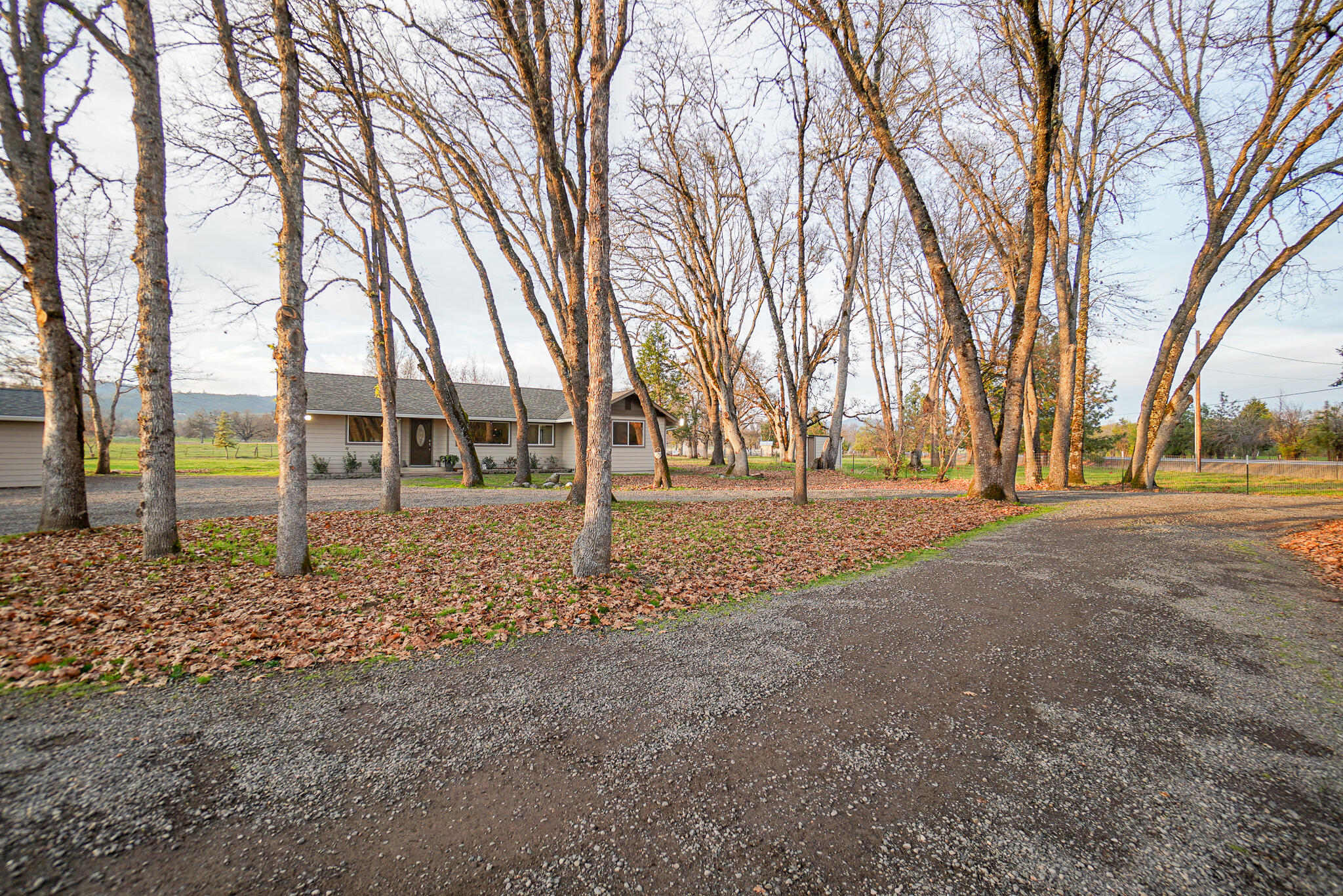 10699 Meadows Road White City, OR 97503 - Photo 1 of 47 DSC00934