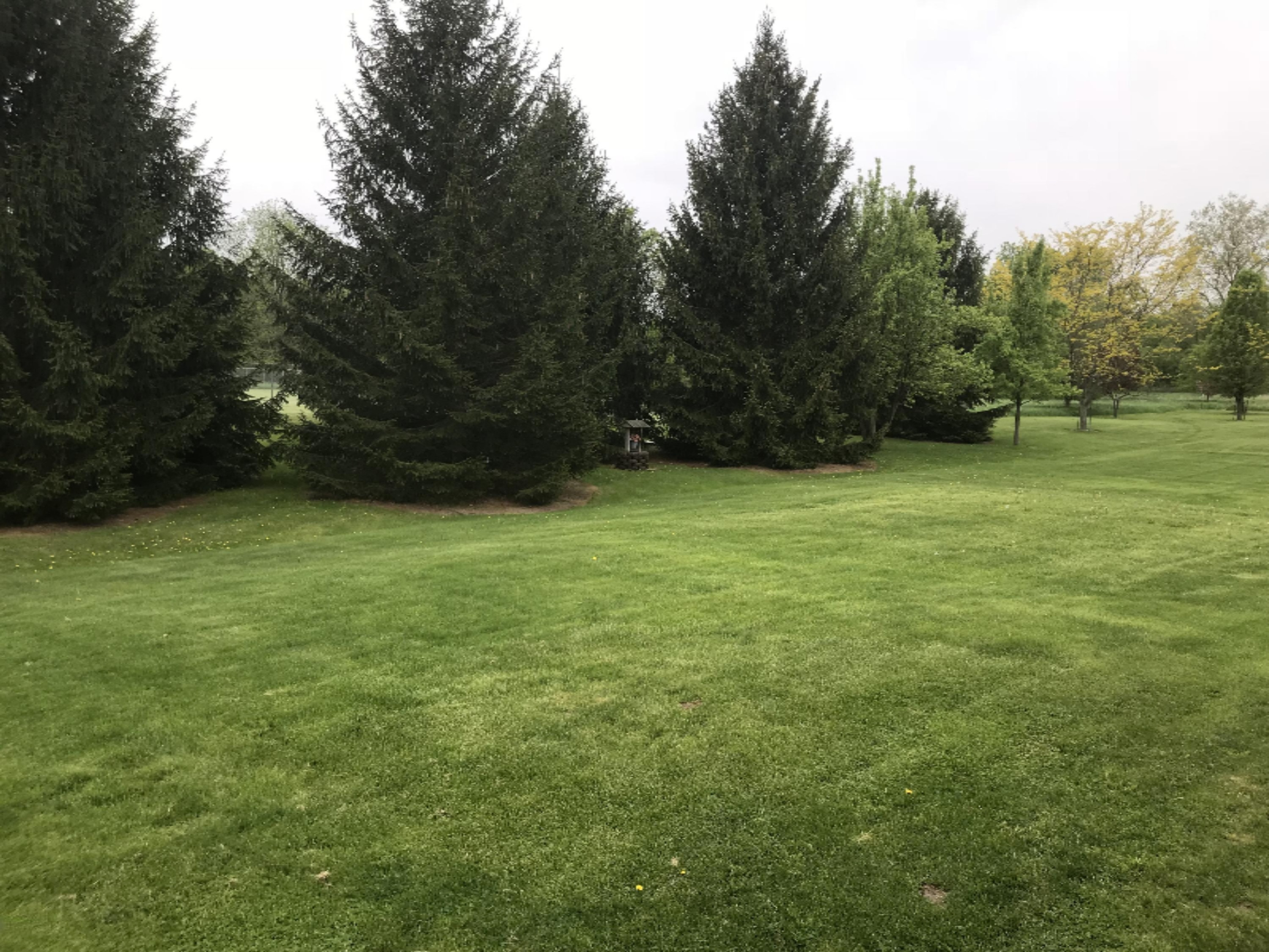 121 West Parmeter Road Ionia, MI 48846 - Photo 24 of 34 IMG_2576