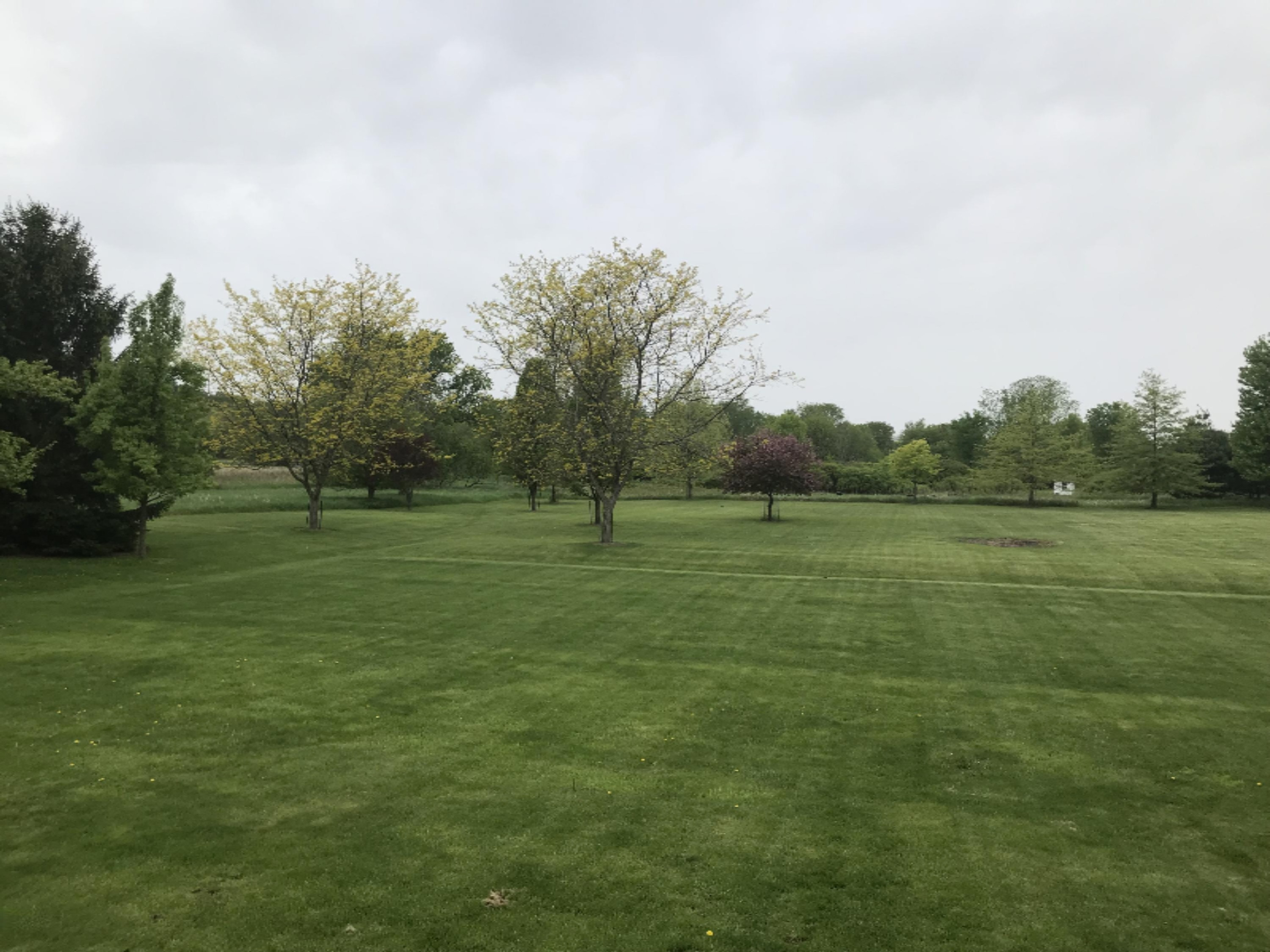 121 West Parmeter Road Ionia, MI 48846 - Photo 26 of 34 IMG_2587