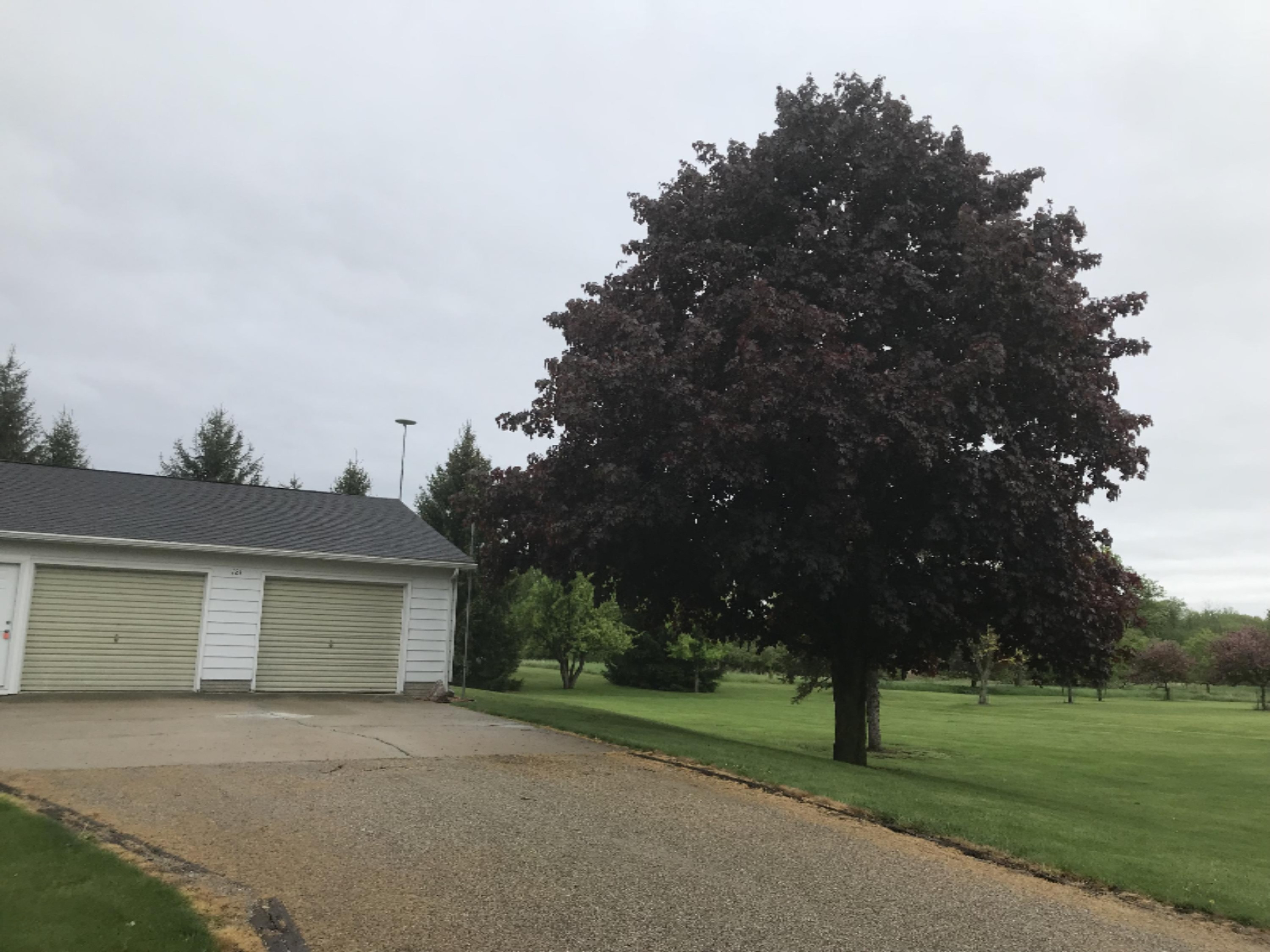 121 West Parmeter Road Ionia, MI 48846 - Photo 32 of 34 IMG_2608