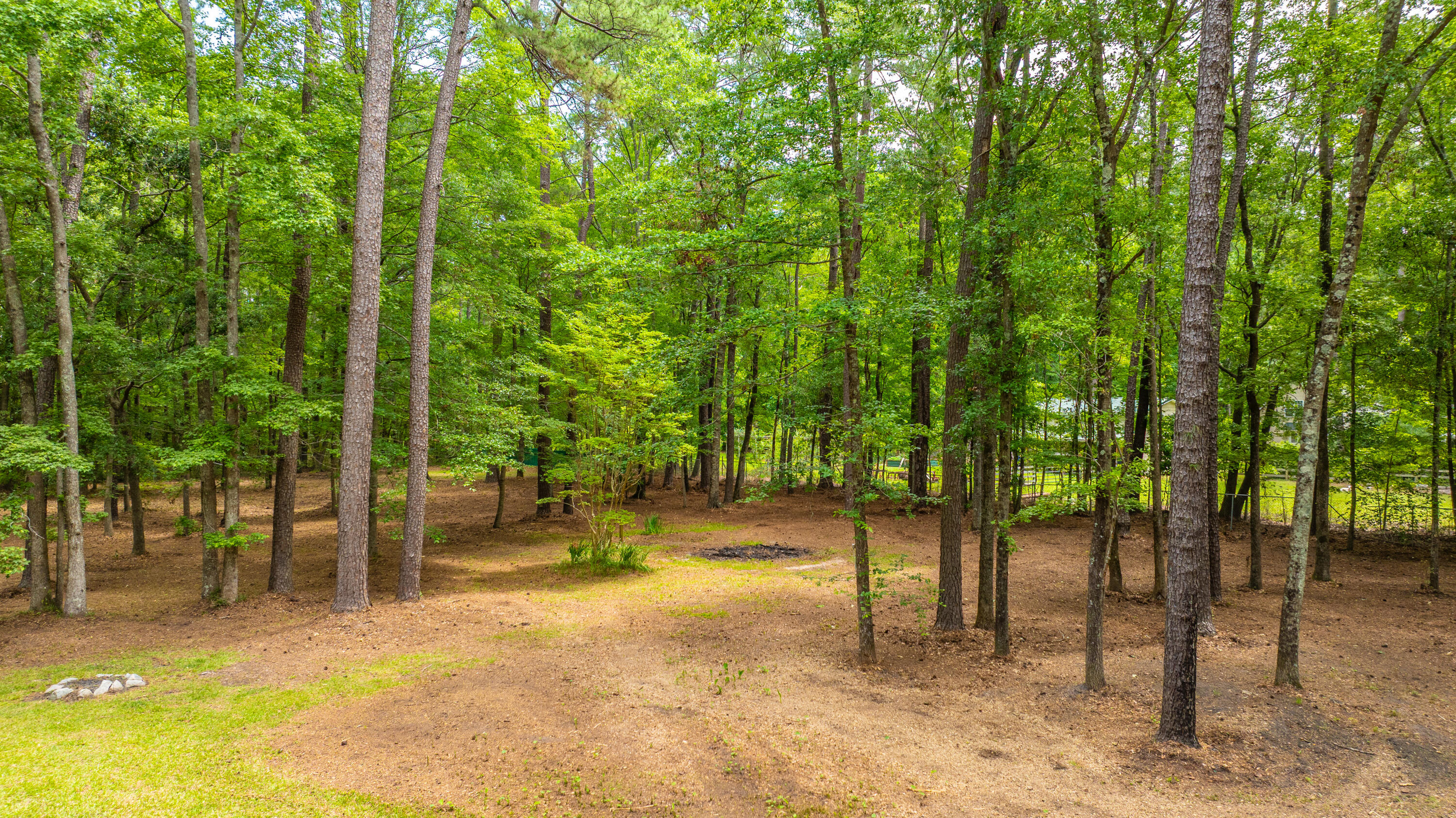110 County Rd S-18-417 Summerville, SC 29483 - Photo 44 of 45 Wooded Lot