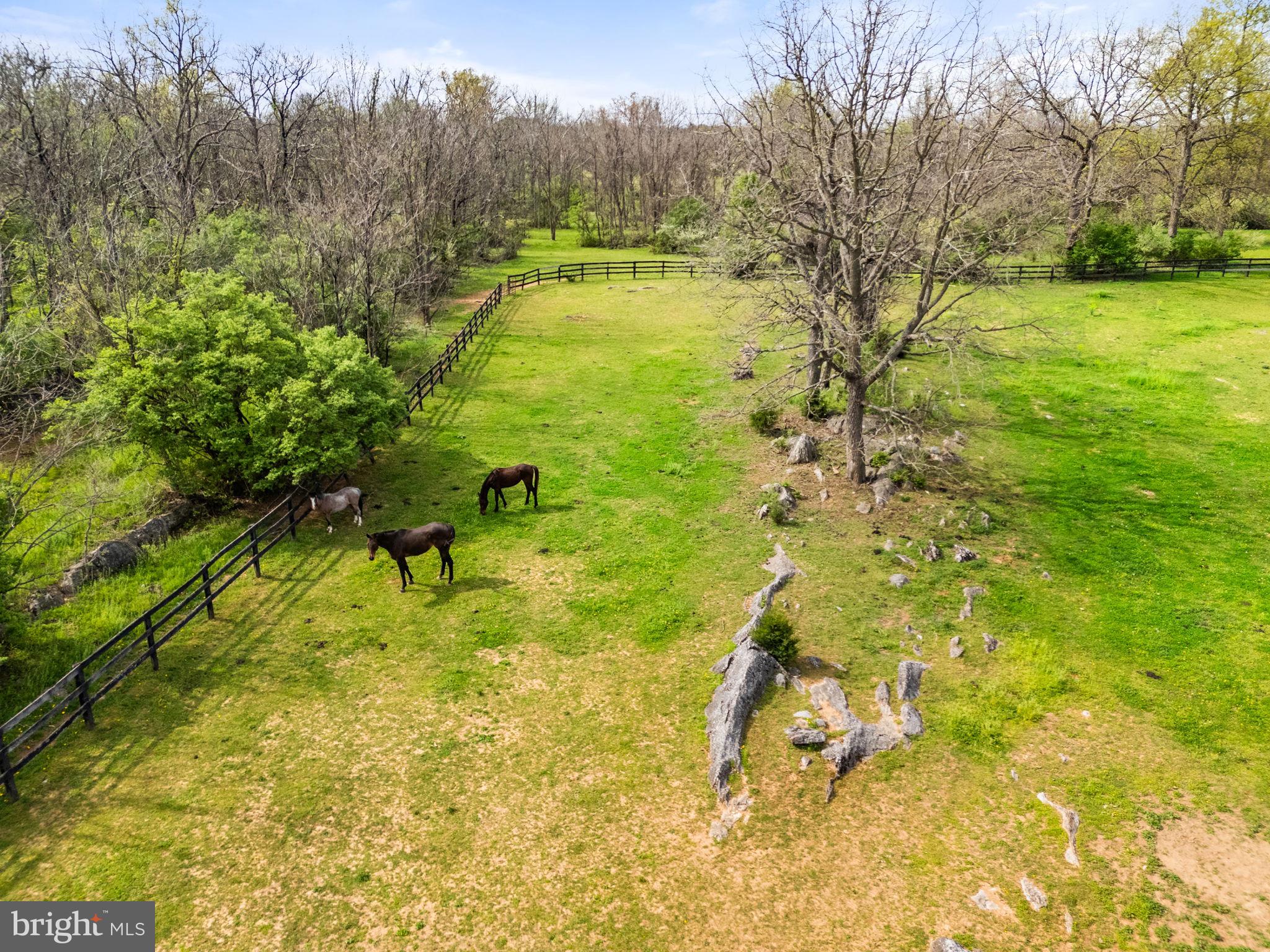420 Russell Road Berryville, VA 22611 - Photo 48 of 60