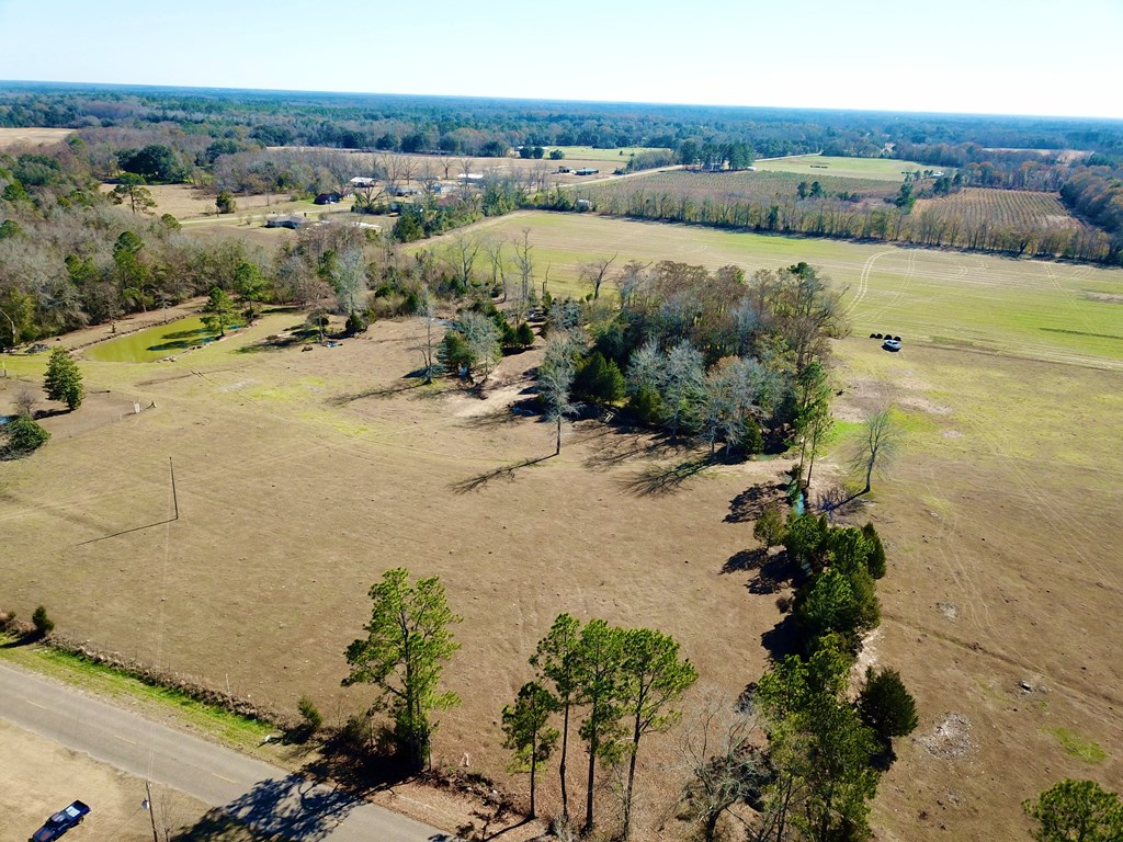 12.7-acres Nobles Road Dothan, AL 36301 - Photo 8 of 41