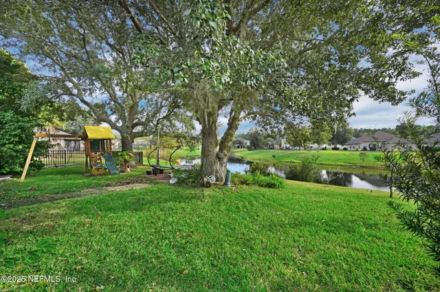 a view of a park with large trees