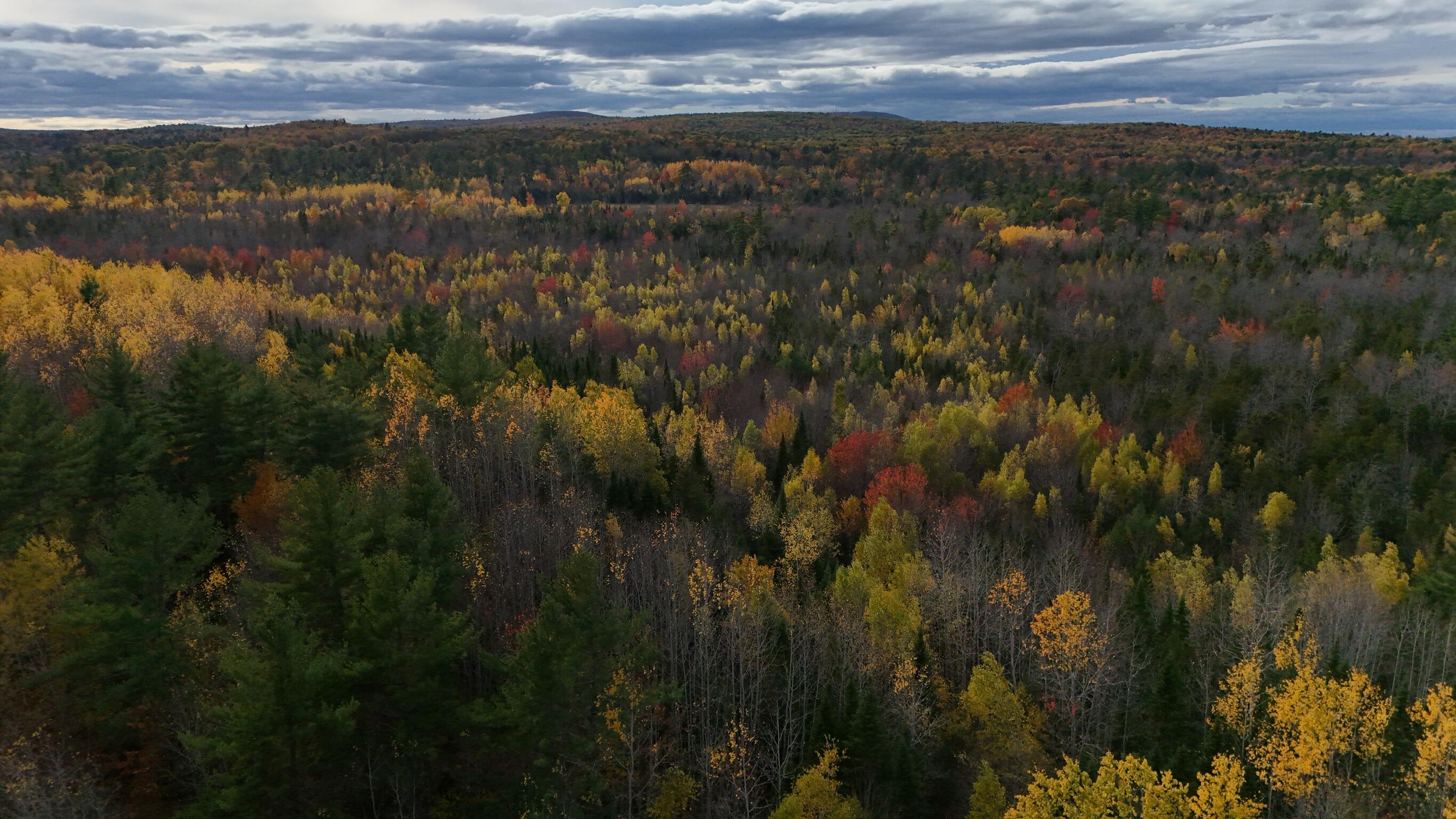 0 Babcock Road Newburgh, ME 04444 - Photo 21 of 52