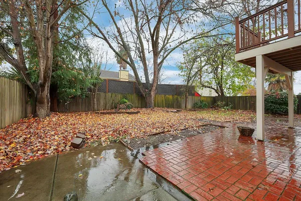 a view of a backyard with a large tree