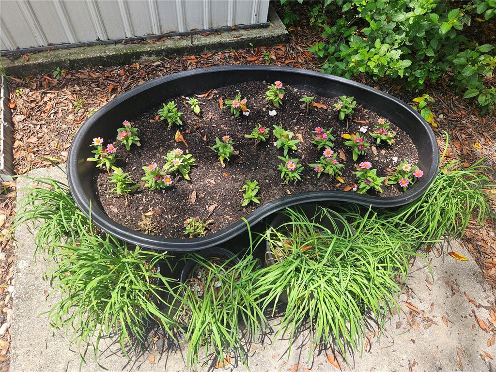 360 Kentia Road Casselberry, FL 32707 - Photo 18 of 22