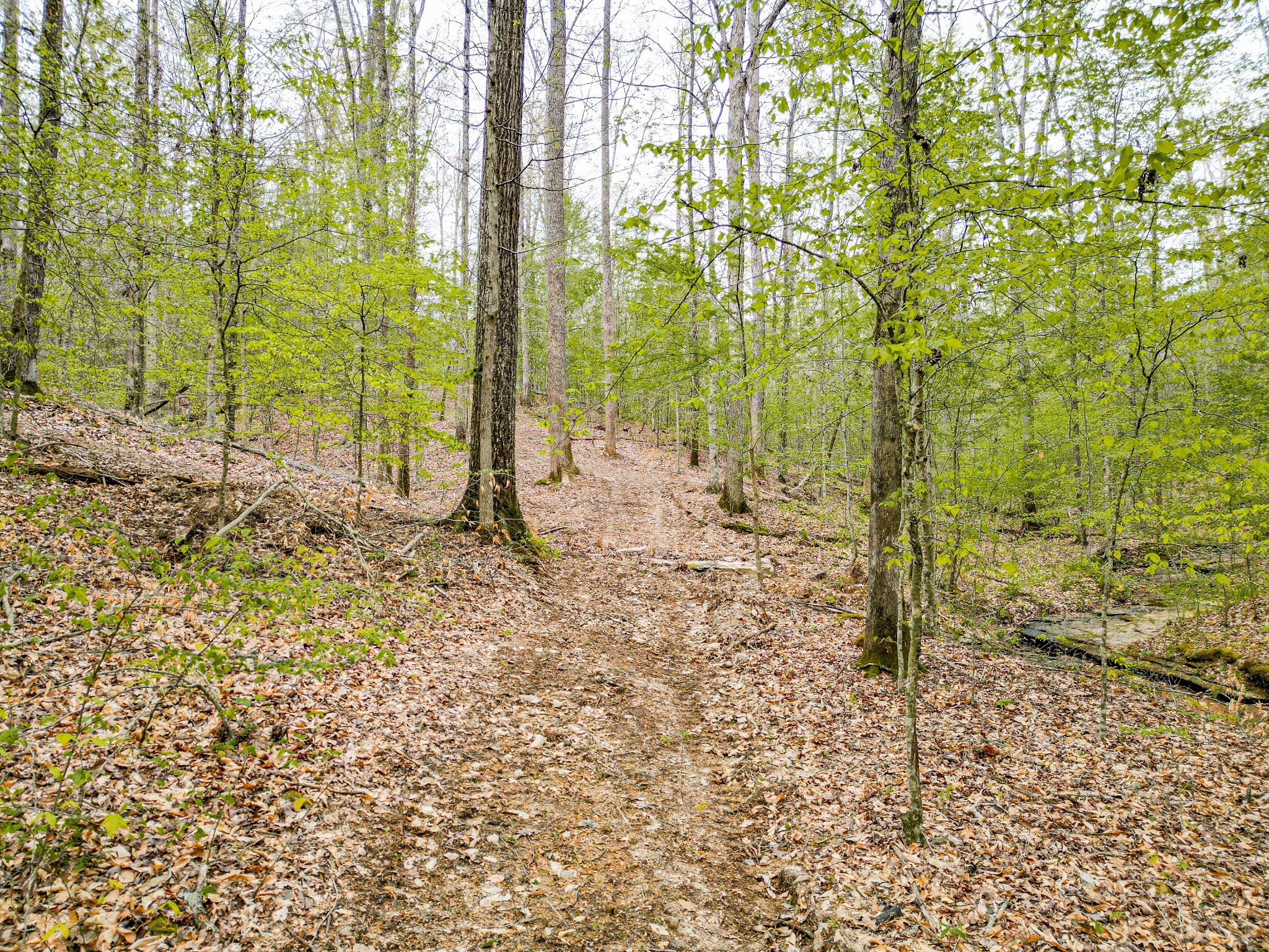 920 Mason Bates Bend Road Centerville, TN 37033 - Photo 48 of 82 Gallery Image 48