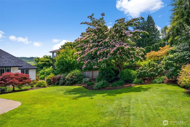 an aerial view of a house with a yard and a large tree