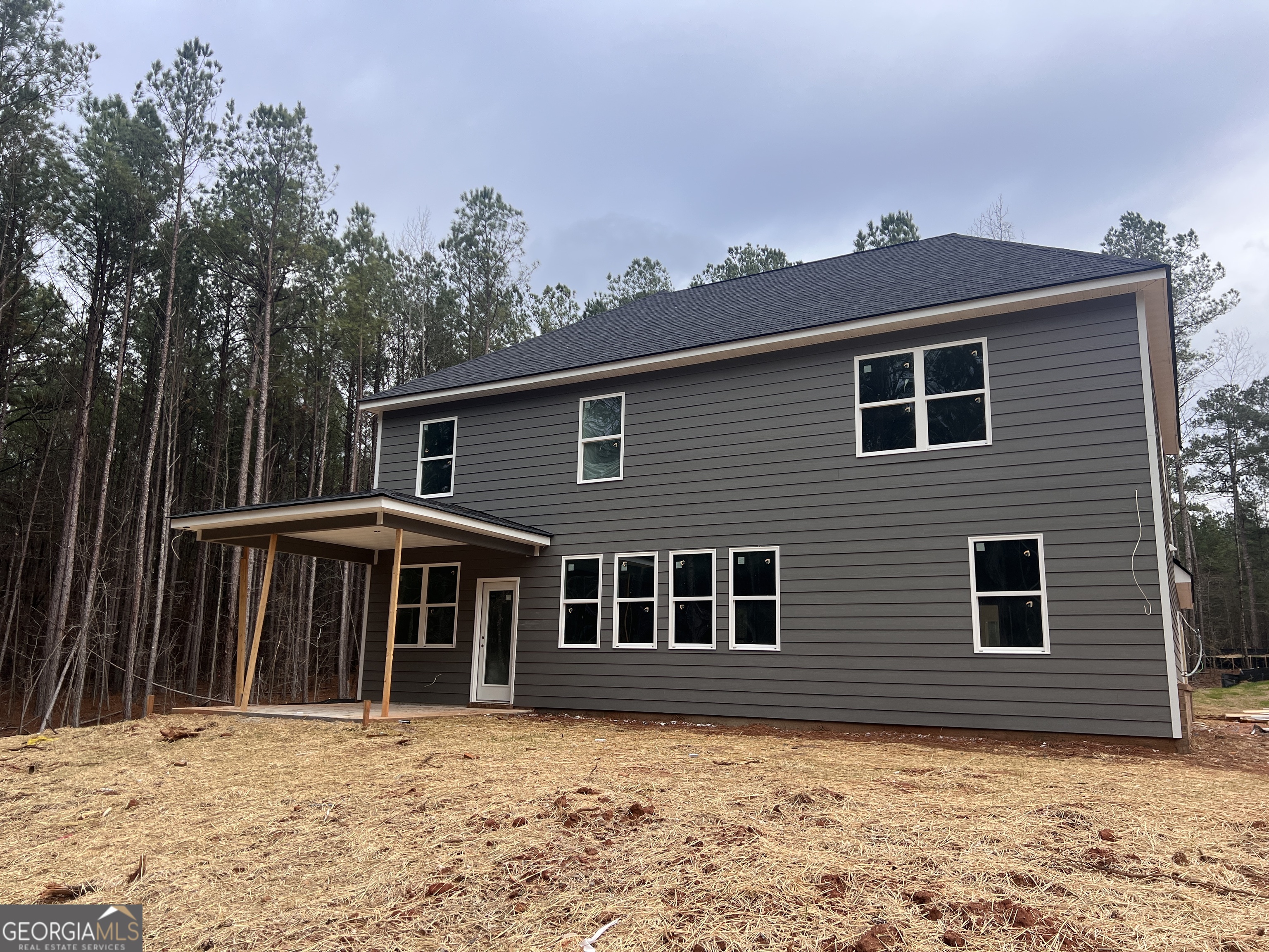 3921 Peeksville Road, Unit (LOT 6) Locust Grove, GA 30248 - Photo 4 of 44