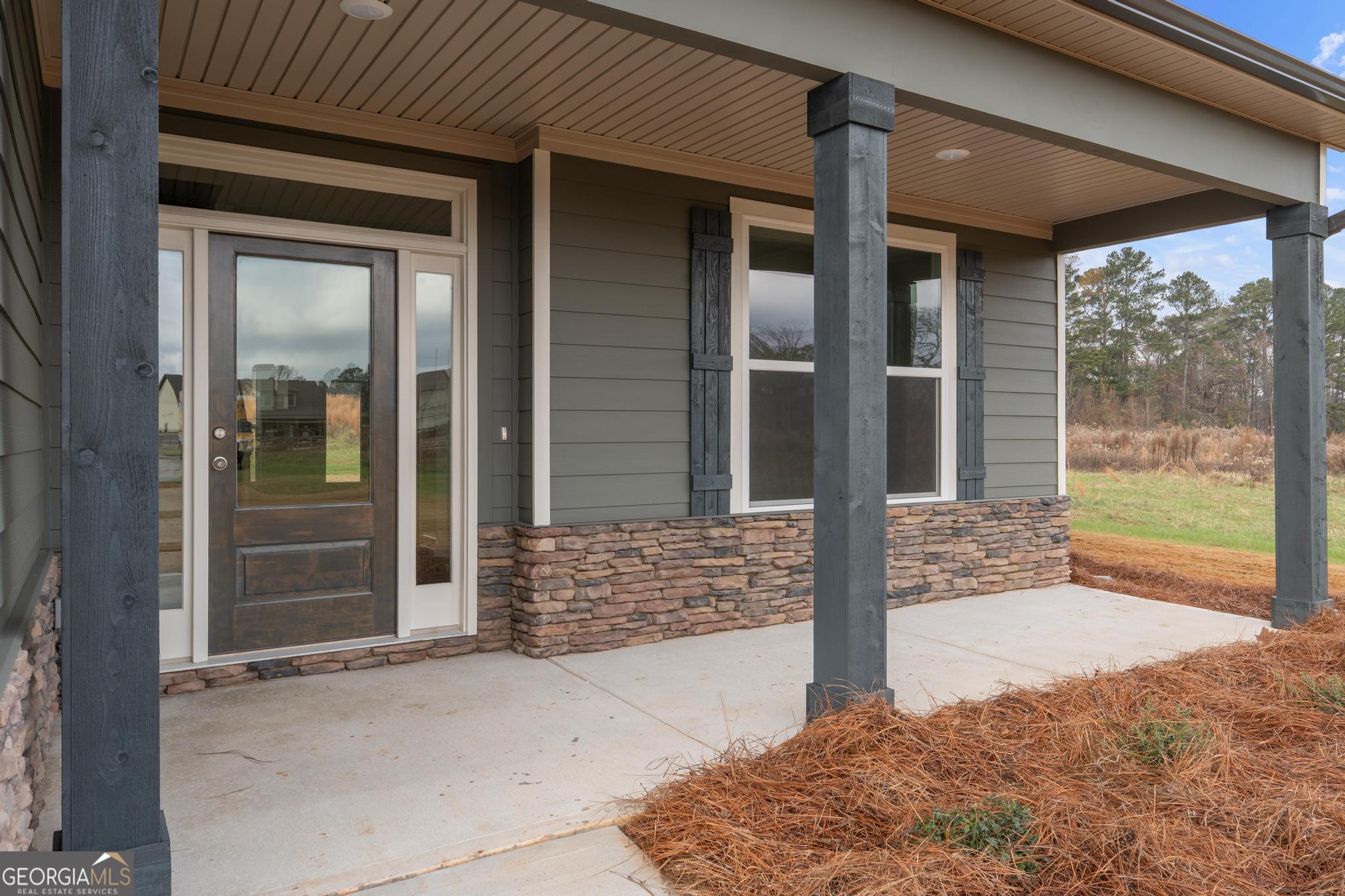 3921 Peeksville Road, Unit (LOT 6) Locust Grove, GA 30248 - Photo 9 of 44