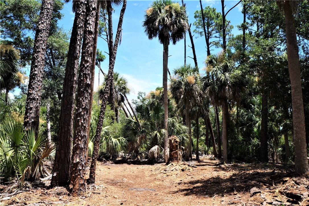 29 Fiddlers Trce Road Fripp Island, SC 29920 - Photo 1 of 1 Gallery Image 1