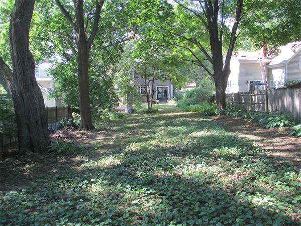 12 Rice Street Wellesley, MA 02481 - Photo 3 of 8