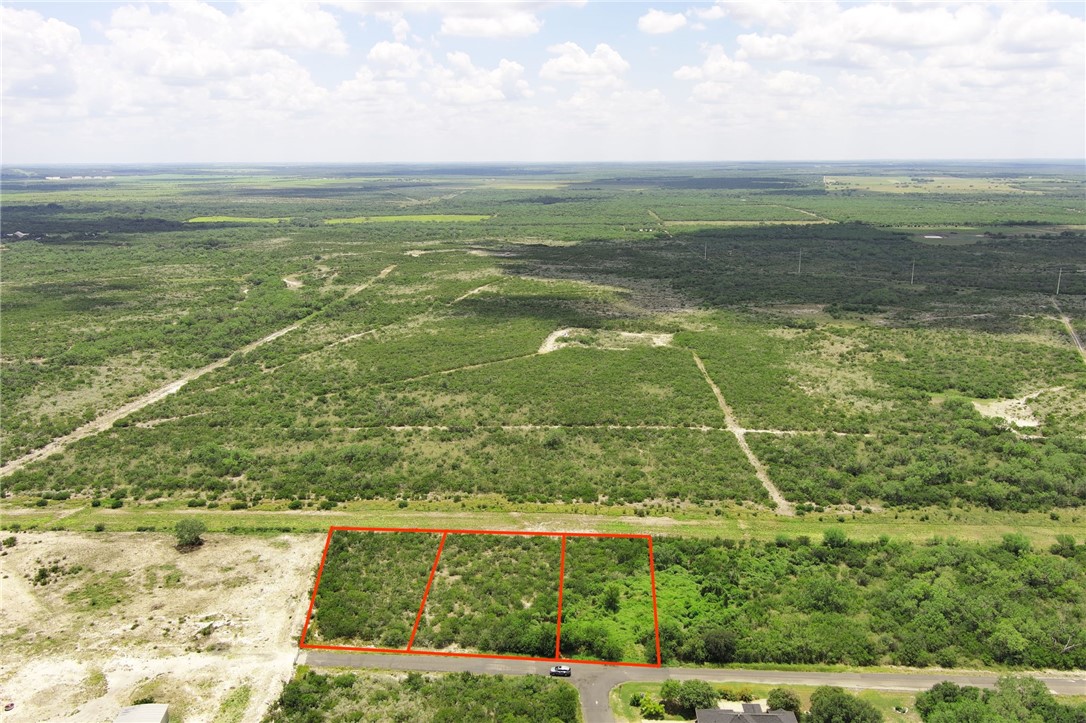 0 Deer Run Terrace Three Rivers, TX 78071 - Photo 2 of 9