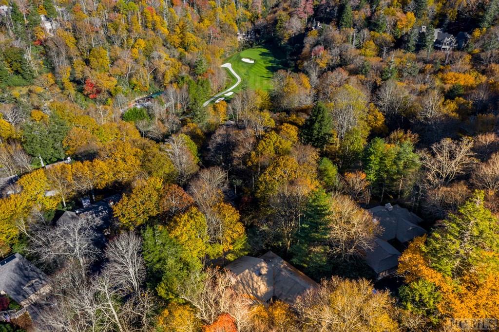 35 Laurelwood Ridge Highlands, NC 28741 - Photo 12 of 49 Gallery Image 12