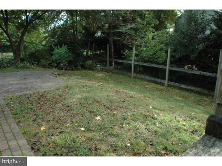 7609 Ivinetta Road Cheltenham, PA 19012 - Photo 5 of 24 Back Yard