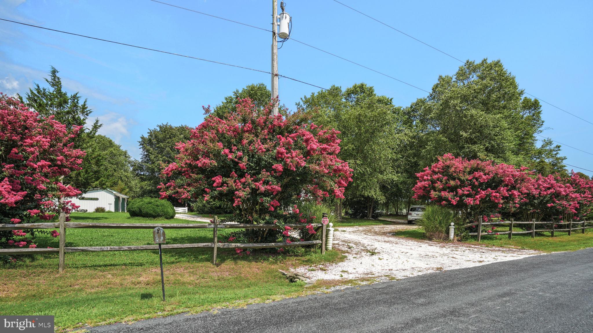25367 Messongo Road Temperanceville, VA 23442 - Photo 6 of 107