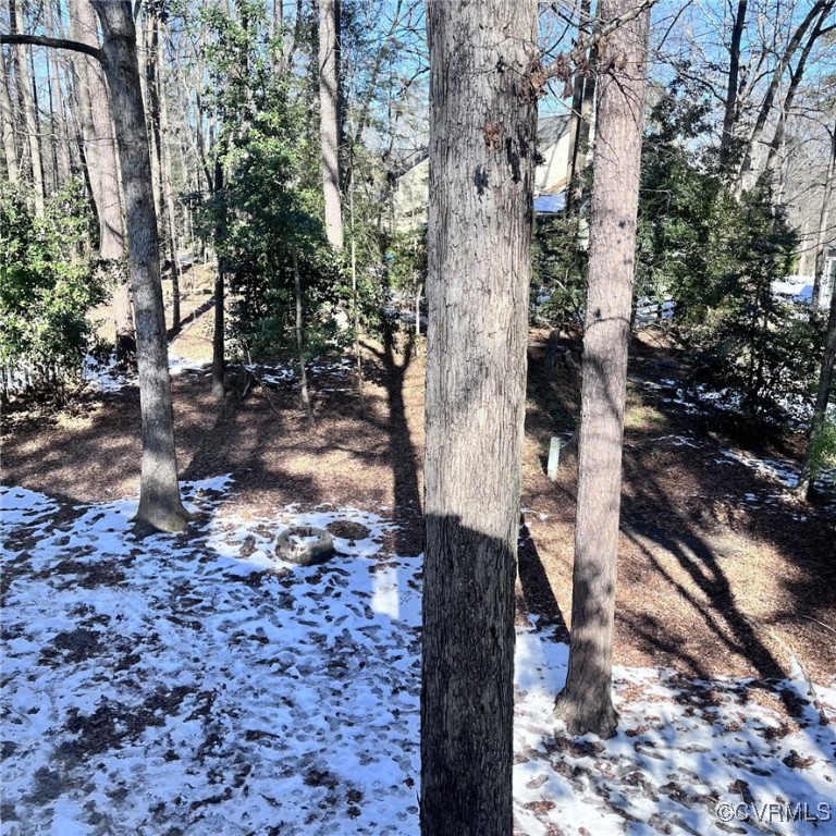 14708 Acorn Ridge Place Midlothian, VA 23112 - Photo 10 of 10 View of snowy landscape