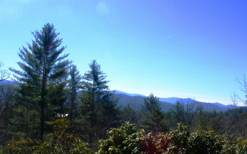 2-lots Choctaw Ridge Blue Ridge, GA 30513 - Photo 1 of 1 a view of a bunch of trees and bushes