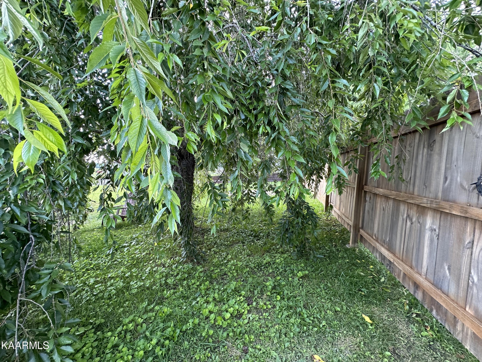 1023 Ridgeway Road Jamestown, TN 38556 - Photo 38 of 39 Gallery Image 38