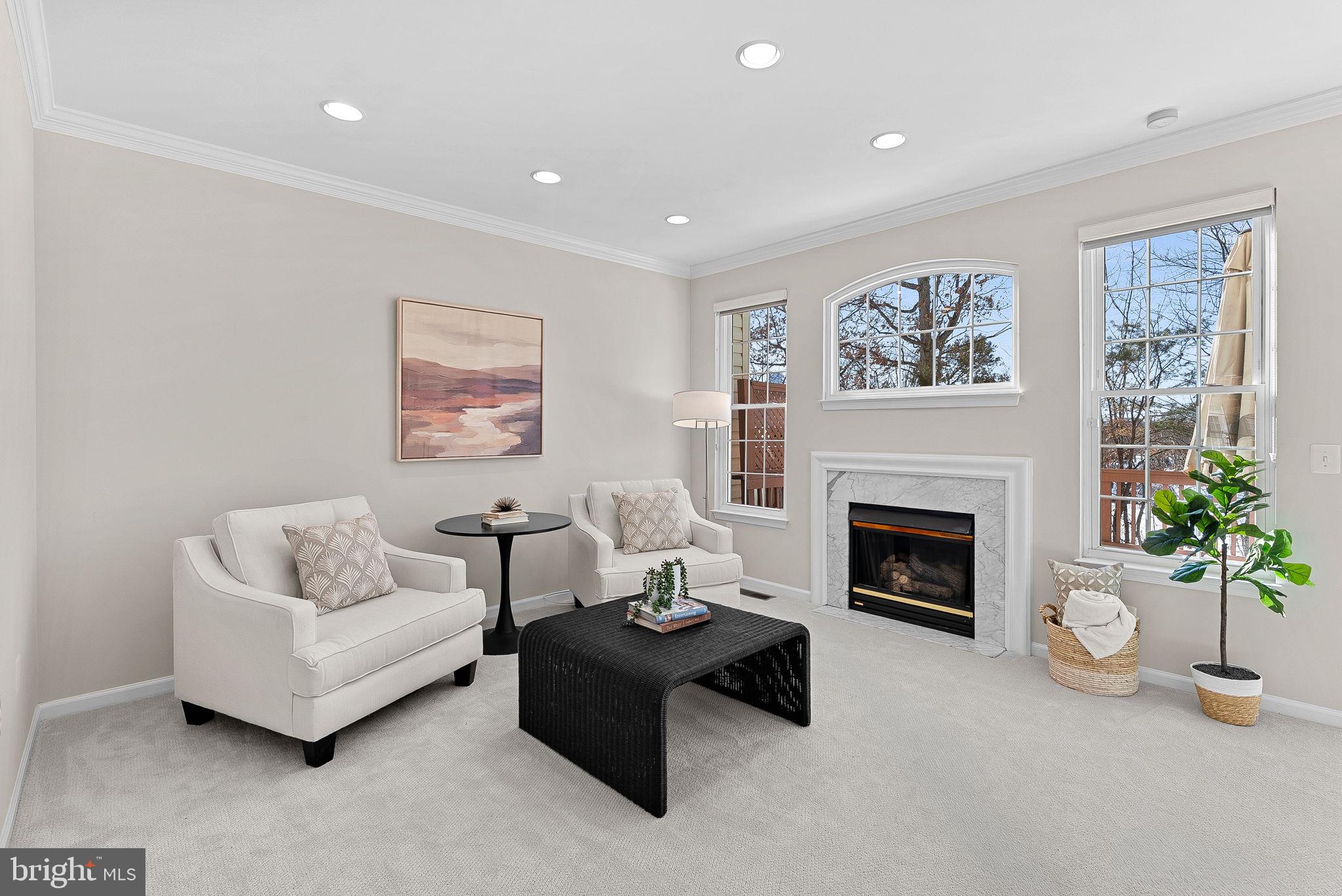 1733 Stuart Pointe Lane Herndon, VA 20194 - Photo 20 of 49 a living room with furniture and a fireplace