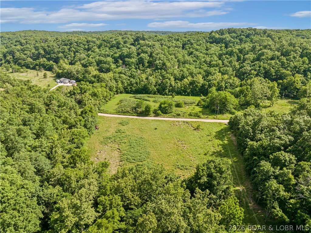 Broads Branch Road Macks Creek, MO 65786 - Photo 11 of 13 Aerial View