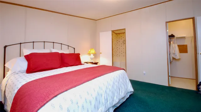 a bedroom with a bed and a closet