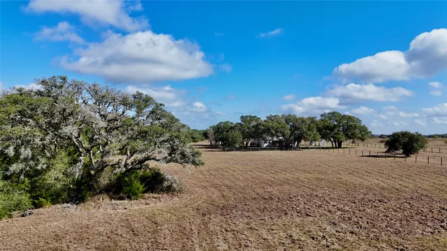 a view of a yard with plants and trees