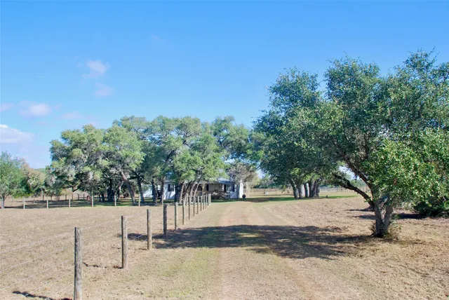 a view of a dry yard with trees