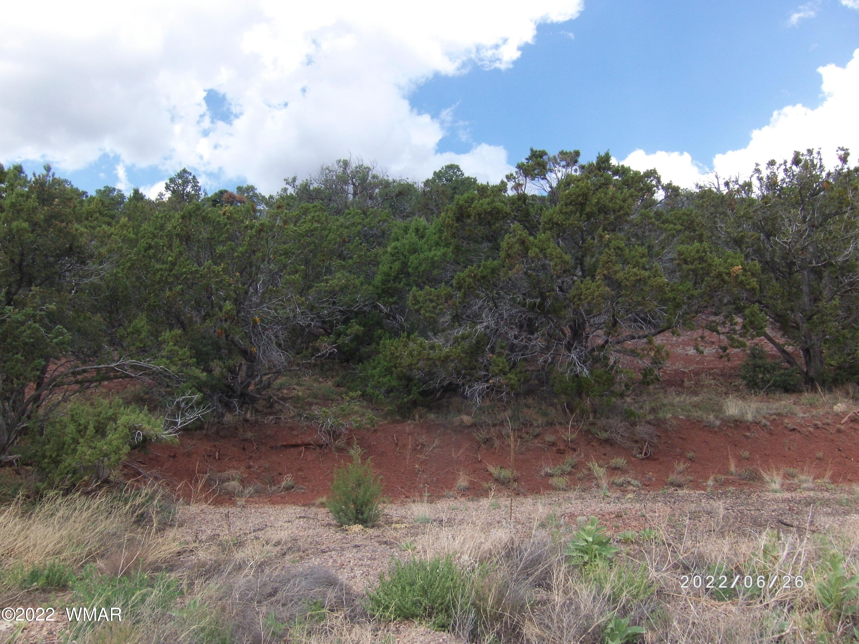 13 County Road Show Low, AZ 85901 - Photo 11 of 13