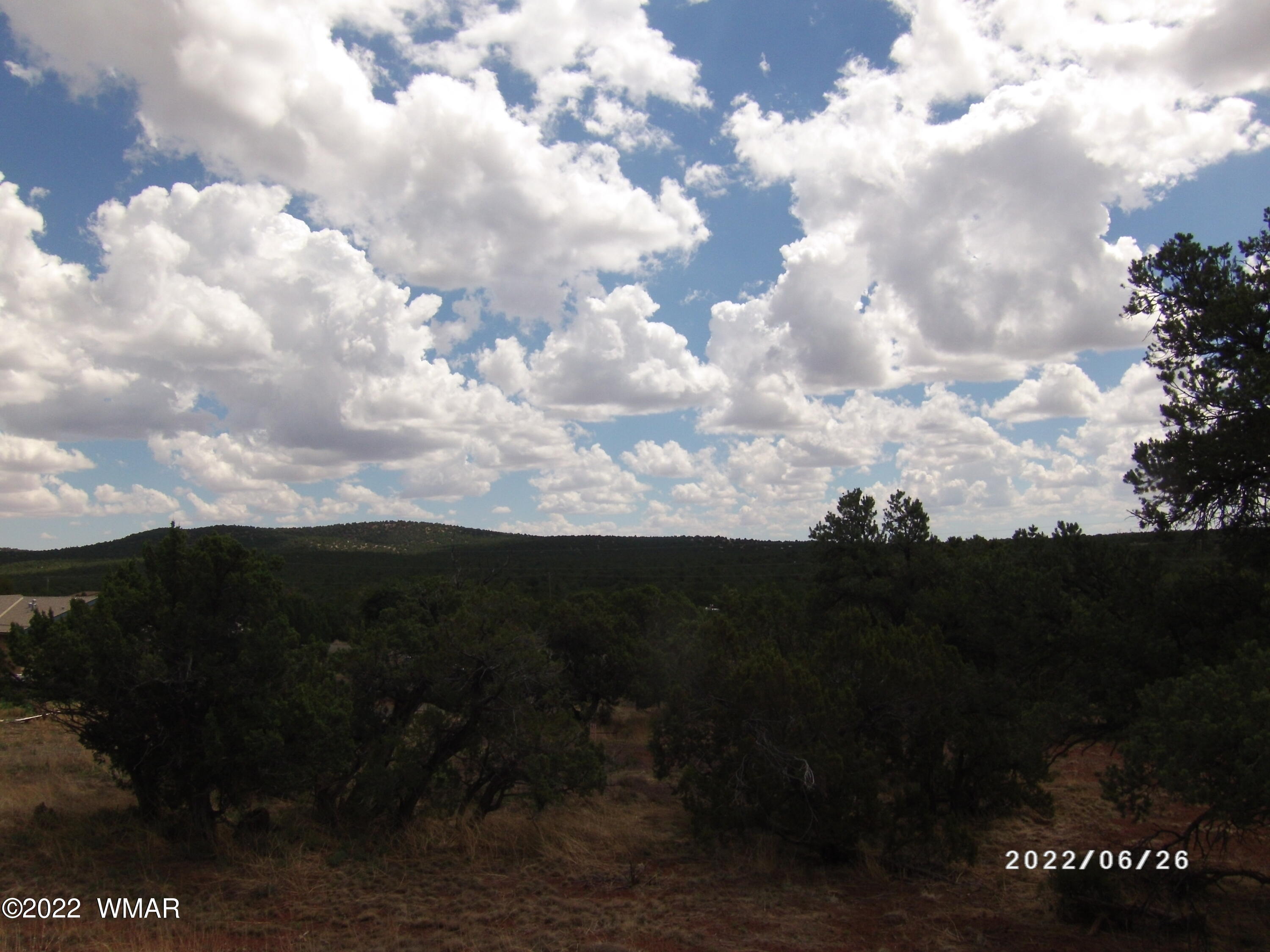13 County Road Show Low, AZ 85901 - Photo 13 of 13