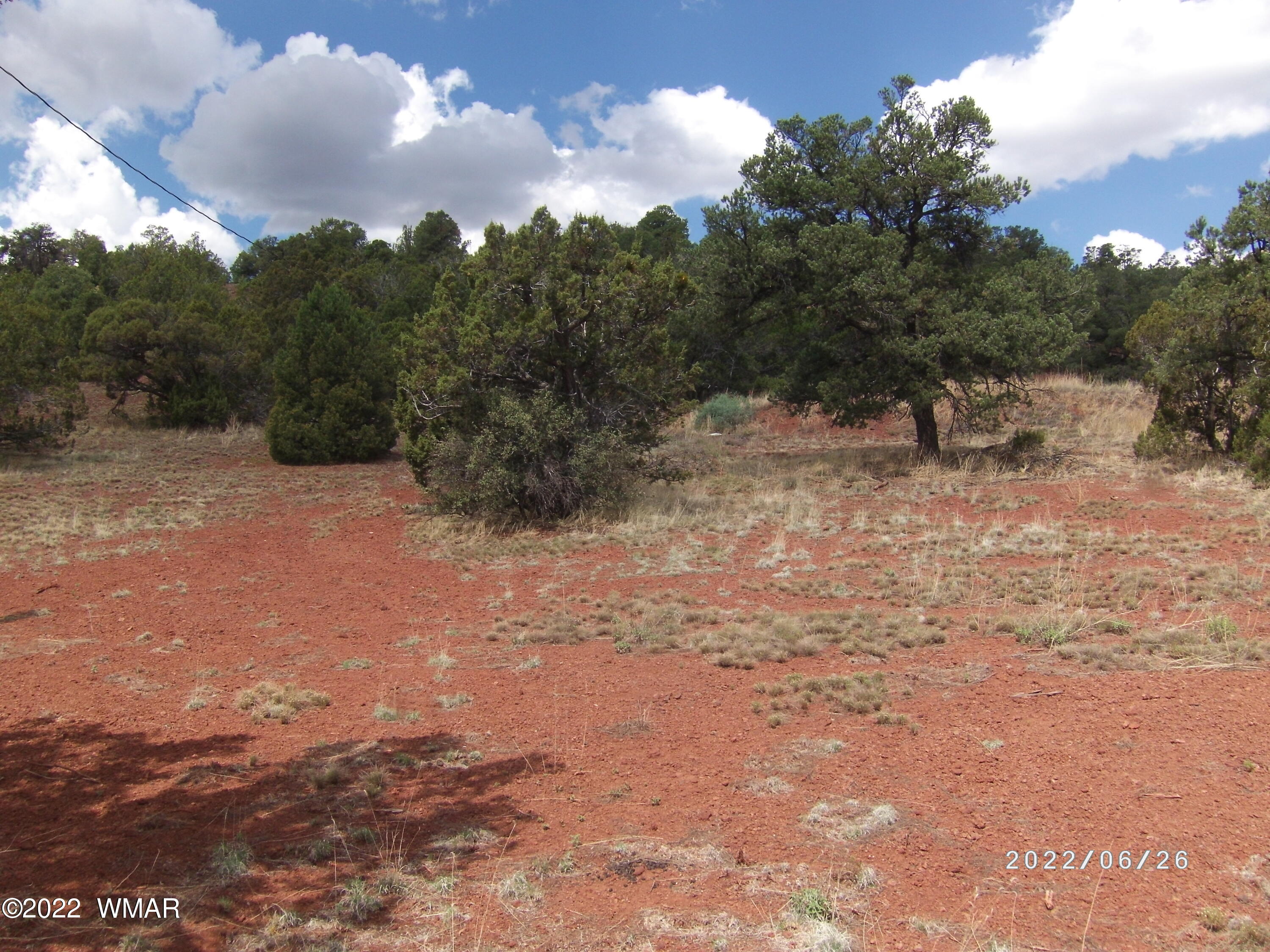 13 County Road Show Low, AZ 85901 - Photo 4 of 13
