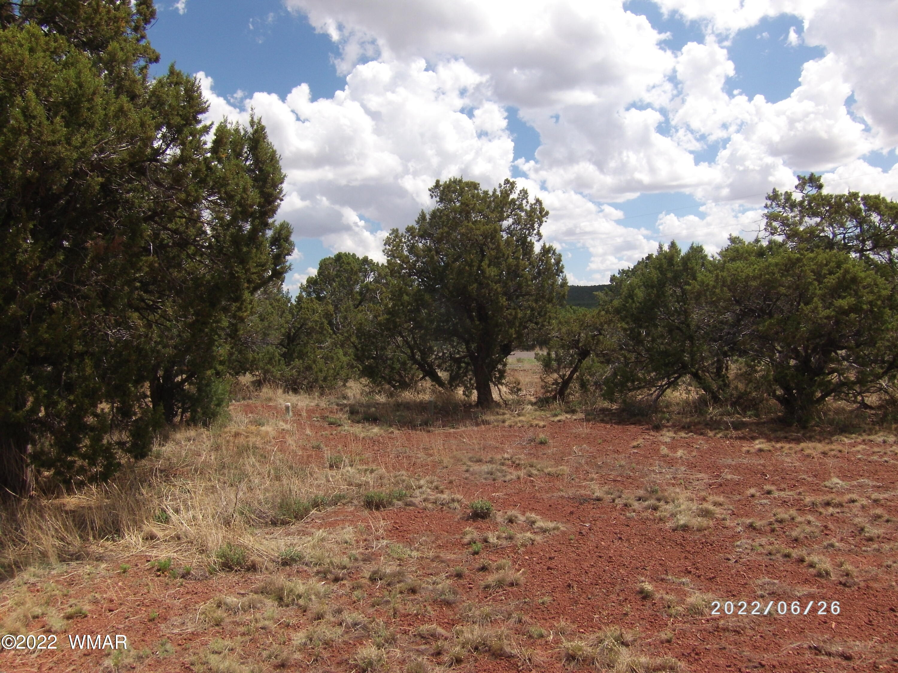13 County Road Show Low, AZ 85901 - Photo 6 of 13