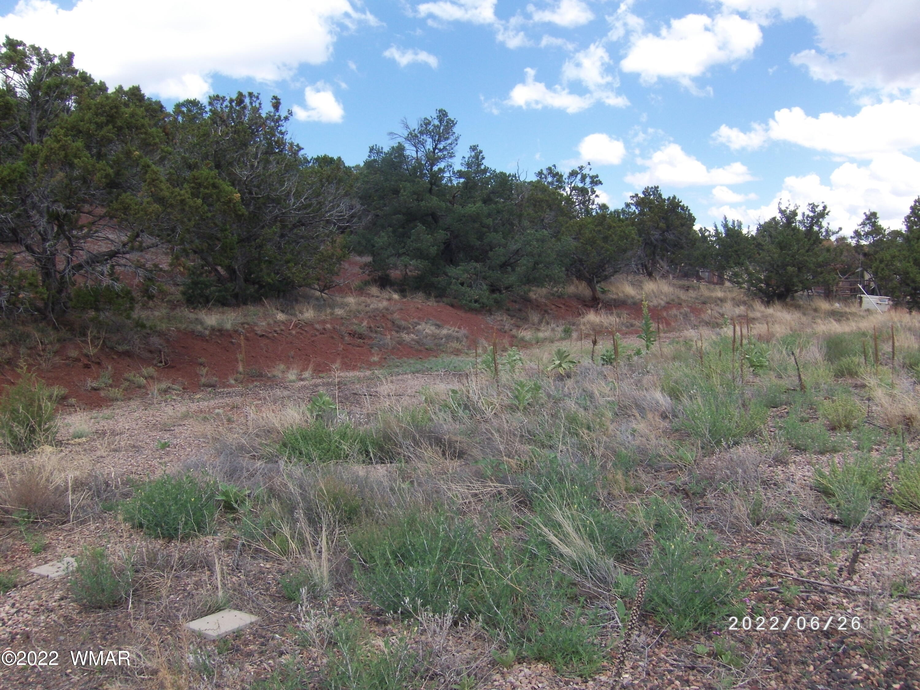 13 County Road Show Low, AZ 85901 - Photo 10 of 13