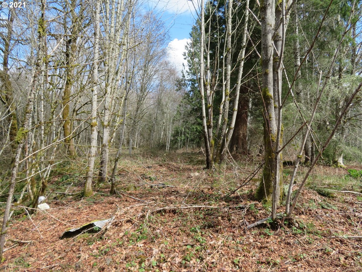 Berry Road Chehalis, WA 98532 - Photo 4 of 19