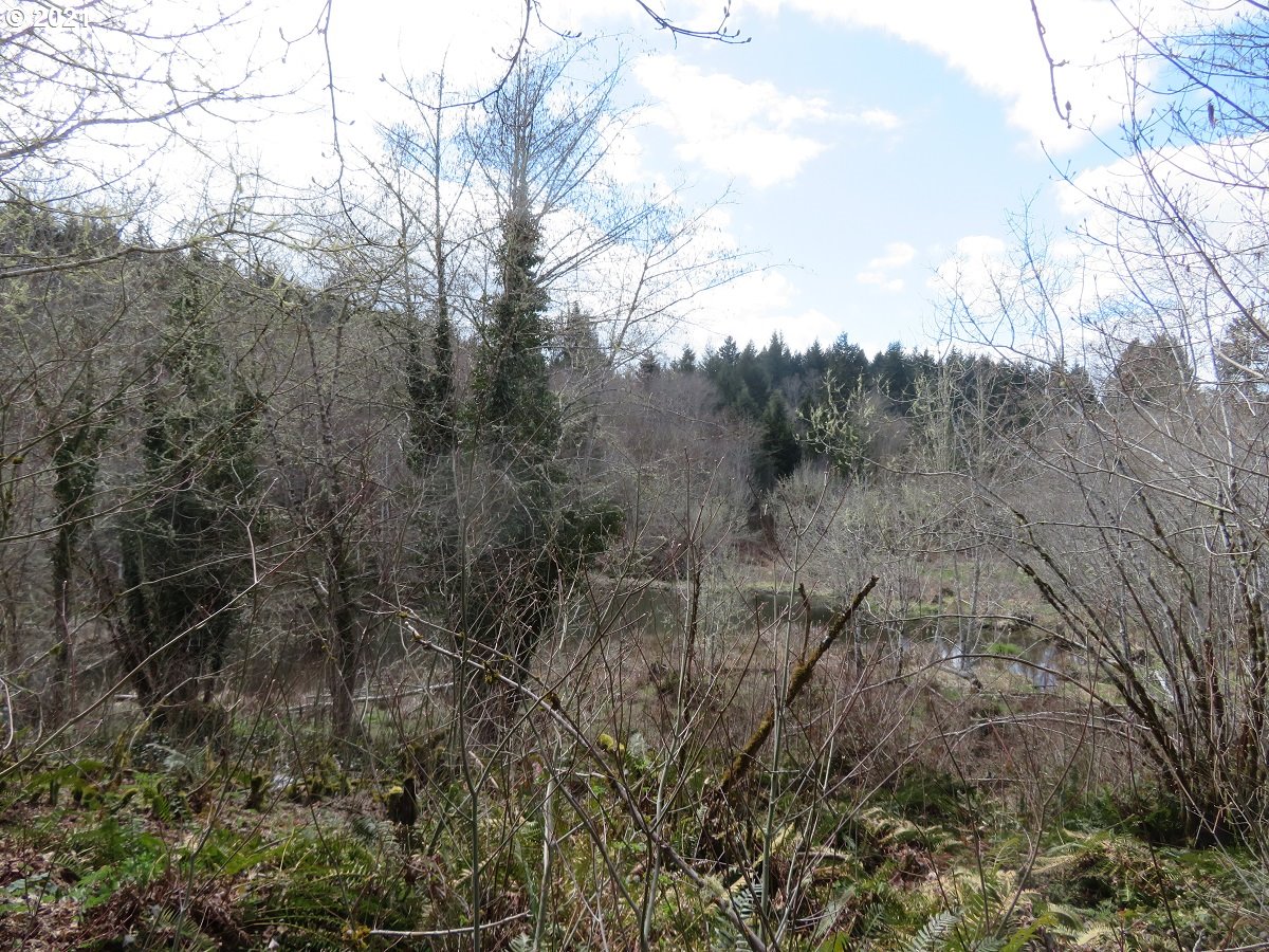 Berry Road Chehalis, WA 98532 - Photo 8 of 19